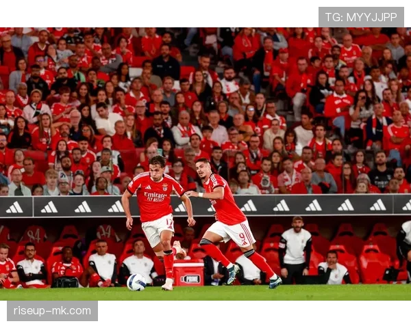 足球战术革新：全新阵型助力球队提升竞争力引关注